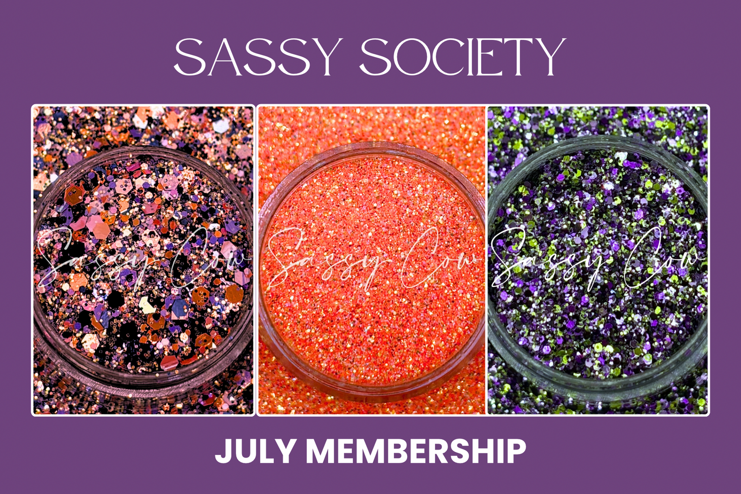 JULY Sassy Society Membership (1 Month)