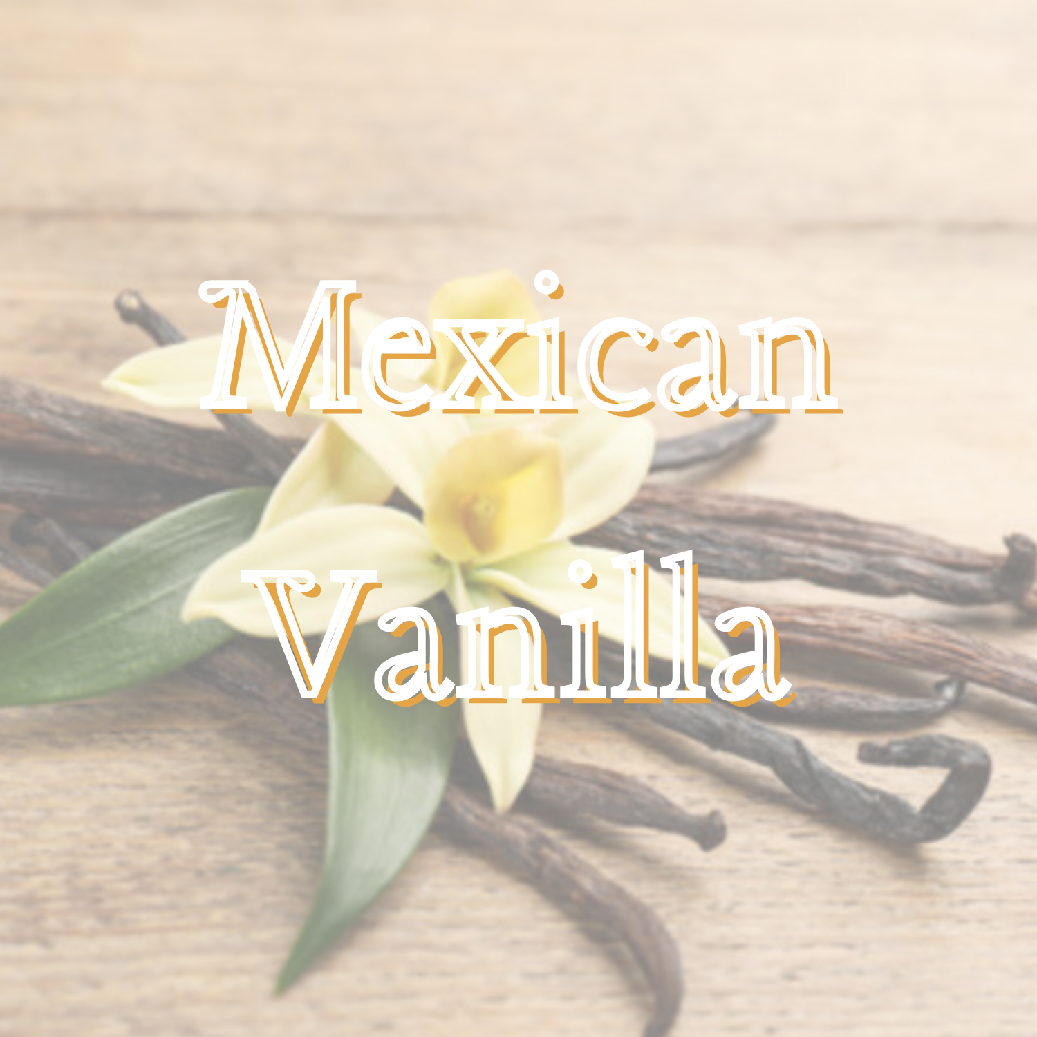 Mexican Vanilla Pre-Scented Beads (2025 Customer Favorite Scent!)
