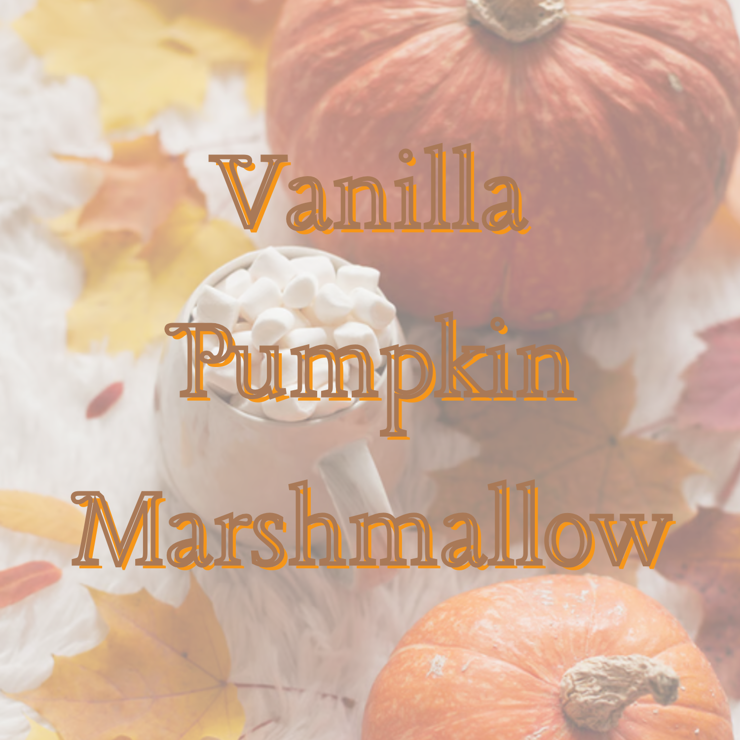 Vanilla Pumpkin Marshmallow Pre-Scented Beads