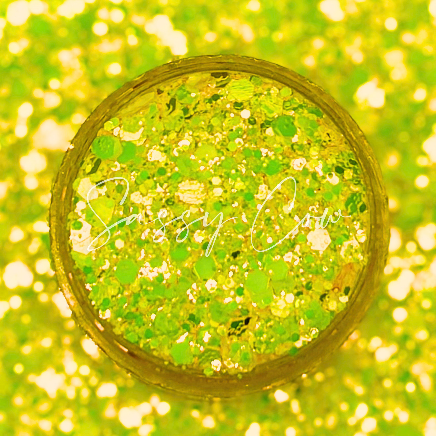 BIKINI BOTTOM - Chunky Color Shift  Glitter Mix
