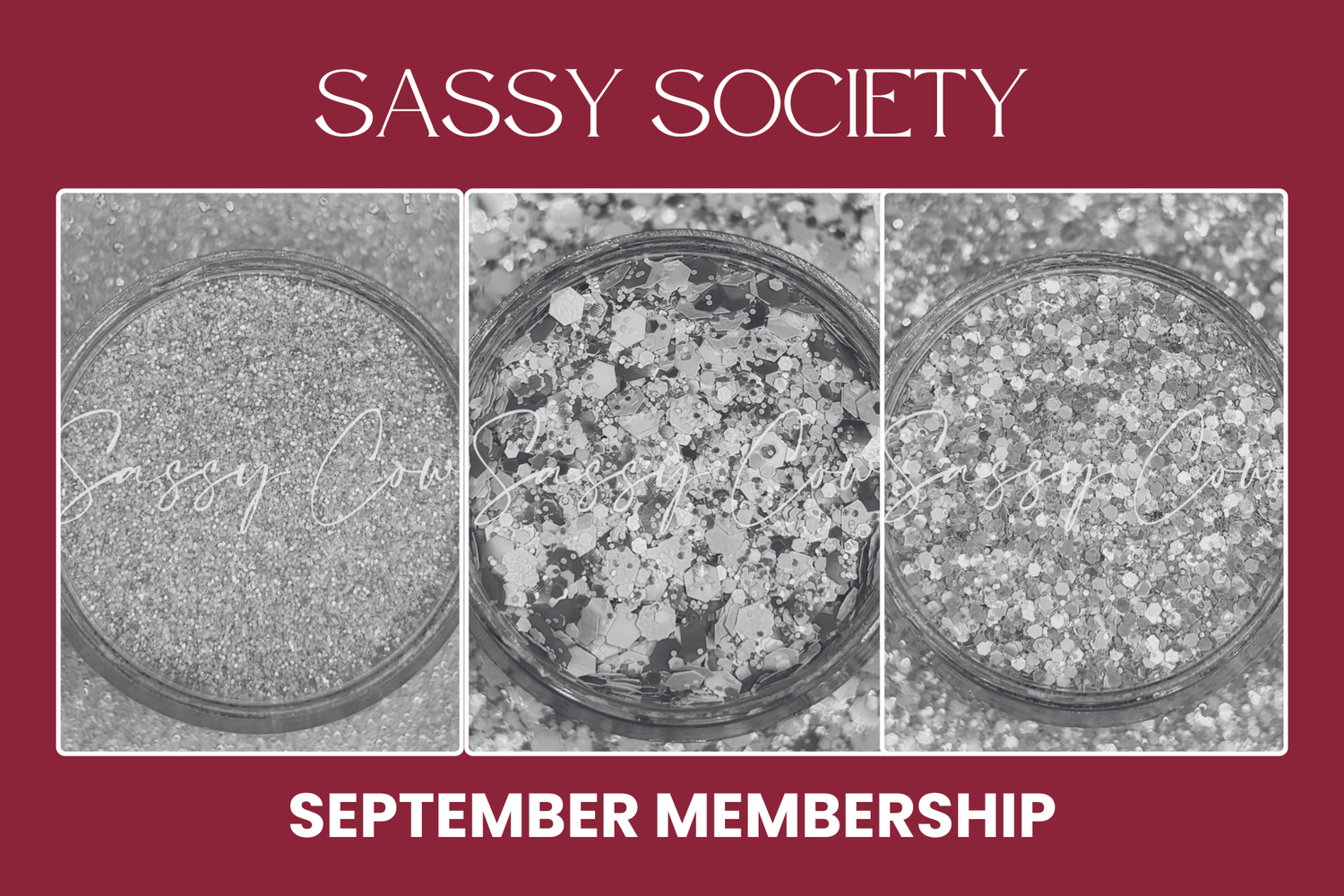 SEPTEMBER Sassy Society Membership (1 Month)