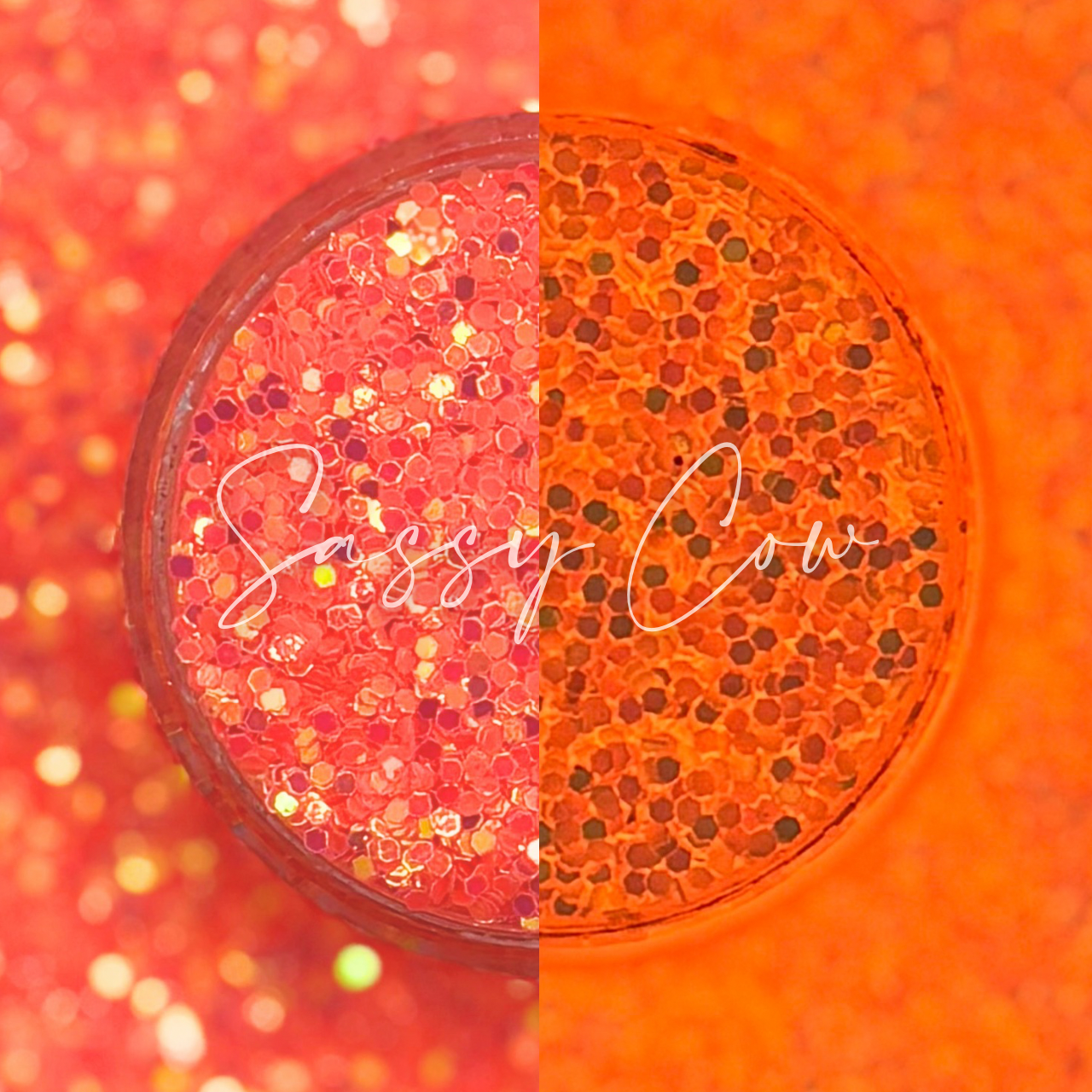 CORAL REEF - Fine Glow