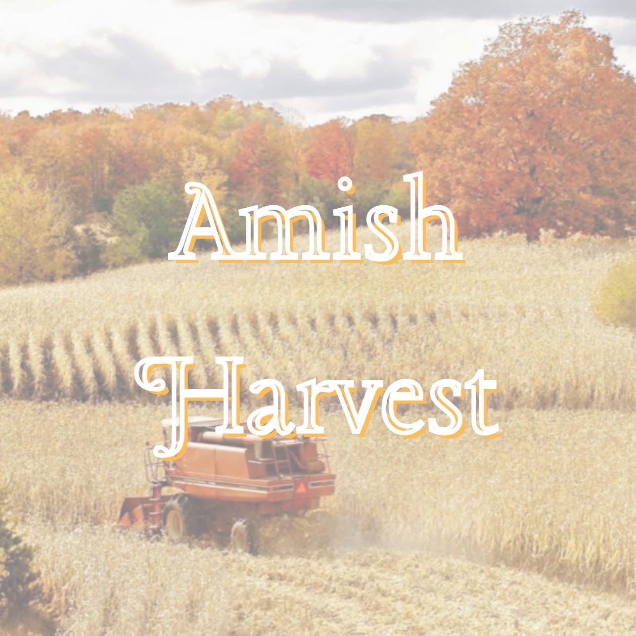 Amish Harvest Pre-Scented Beads