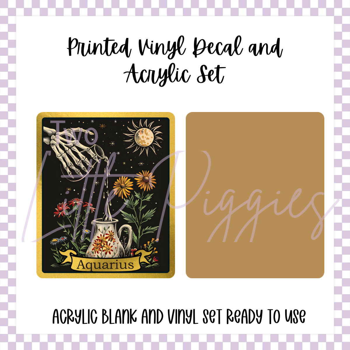 Printed Vinyl and Acrylic Set - Skeleton Tarot Aquarius