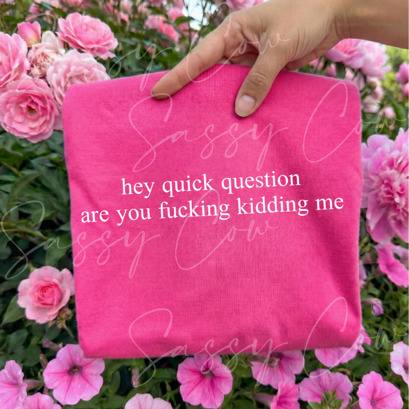 HEY QUICK QUESTION TEE - 046