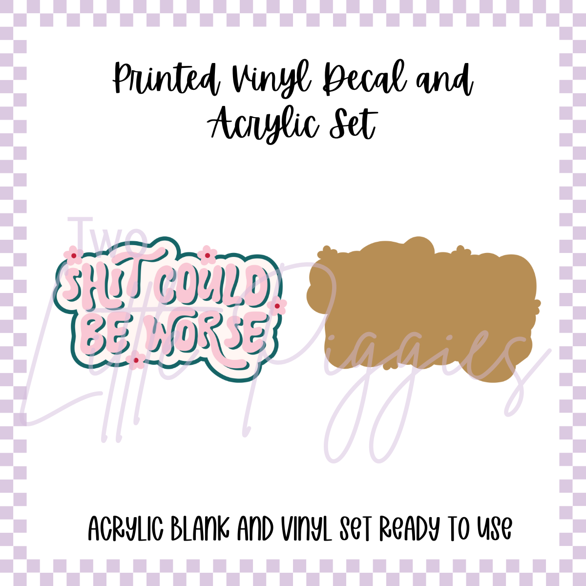 Printed Vinyl and Acrylic Set - Sh*t Could Be Worse