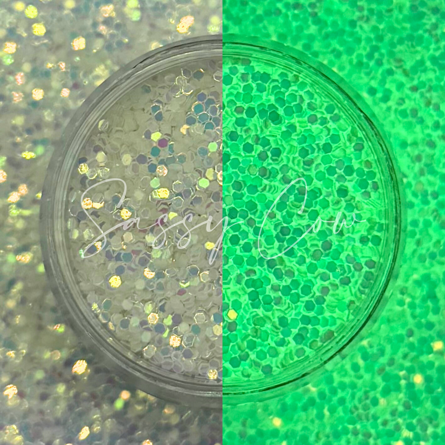 FIONA- Fine Glow Glitter