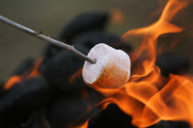 MARSHMALLOW FIRESIDE Fragrance Oil